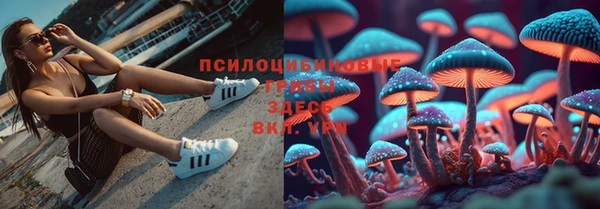 бошки Новочеркасск