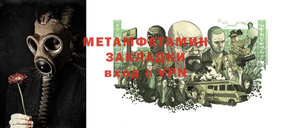 трава Сясьстрой